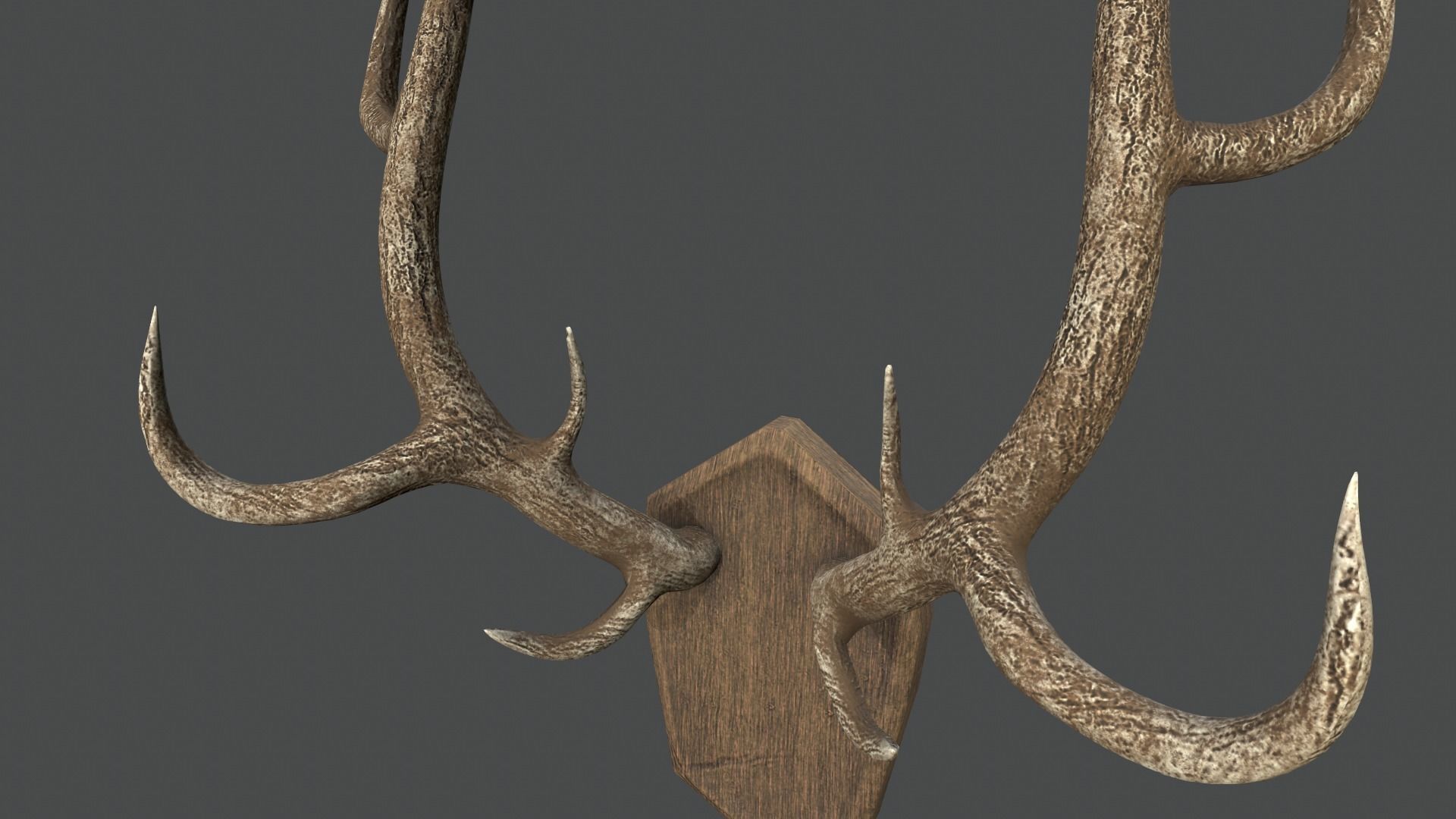 Deer Antlers Low-poly 3D model_9