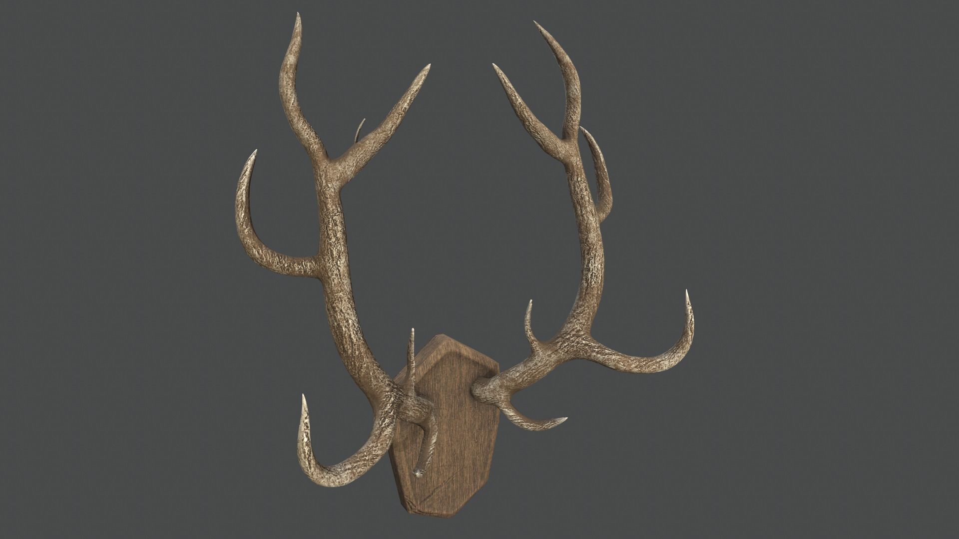 Deer Antlers Low-poly 3D model_5