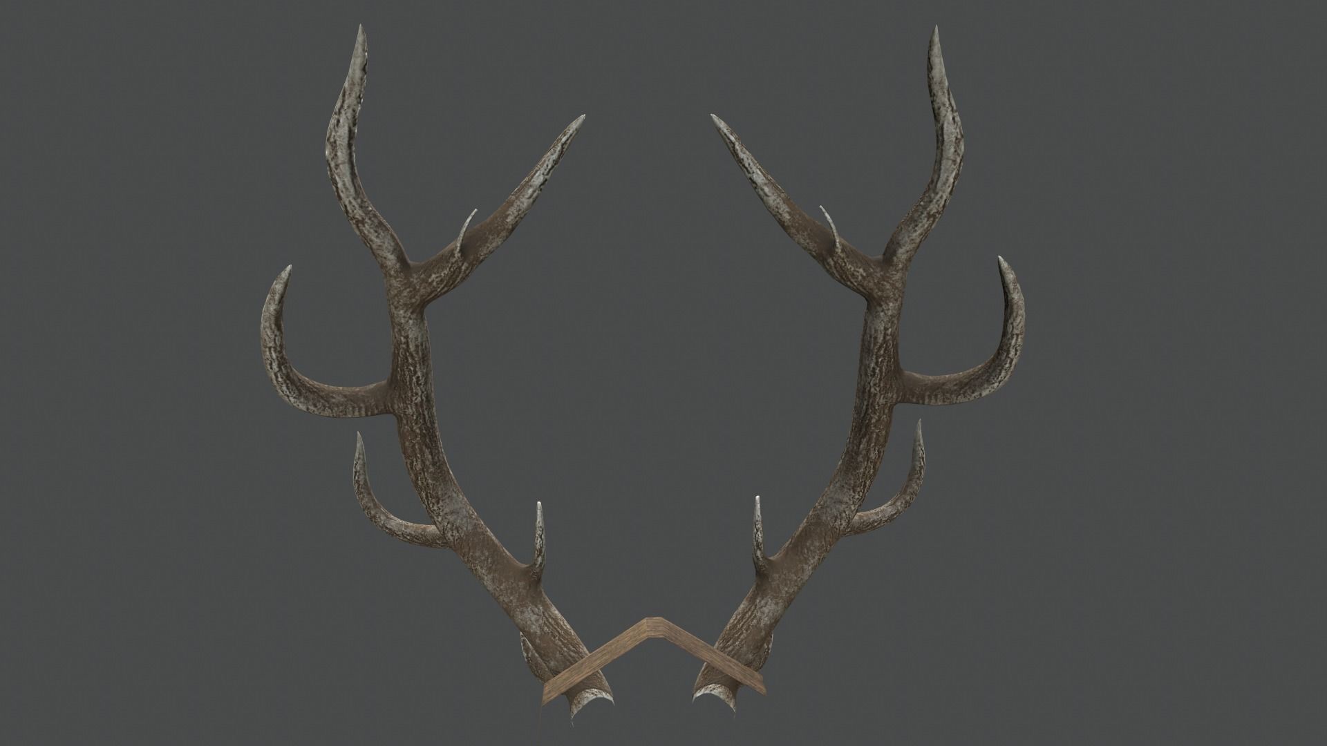 Deer Antlers Low-poly 3D model_6