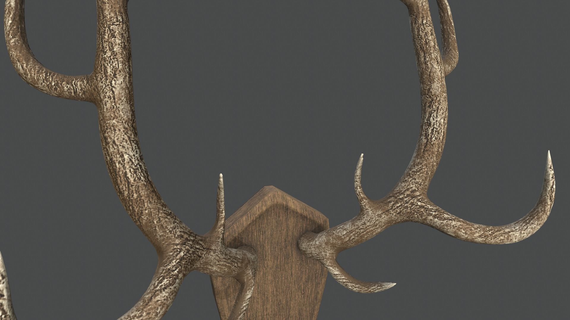 Deer Antlers Low-poly 3D model_2