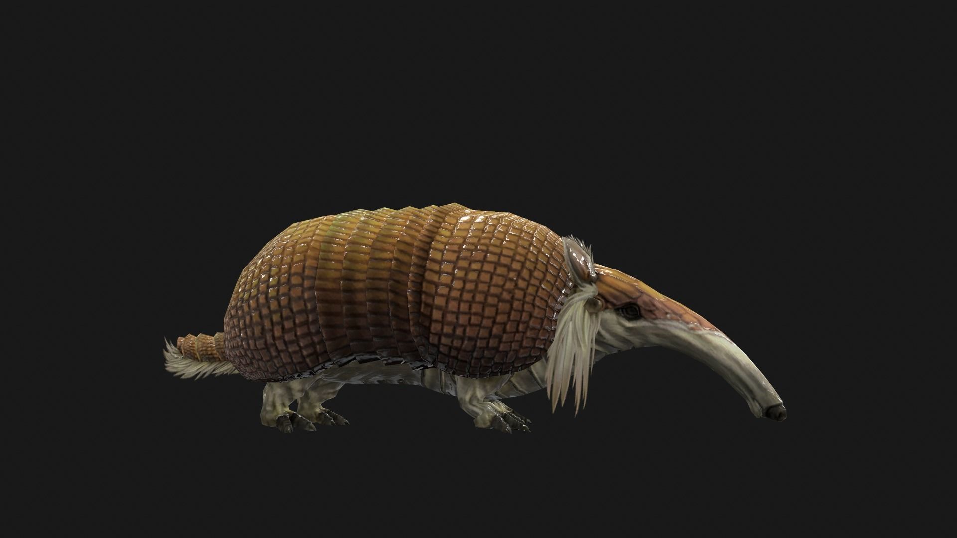 Armadillo Low-poly 3D model_8