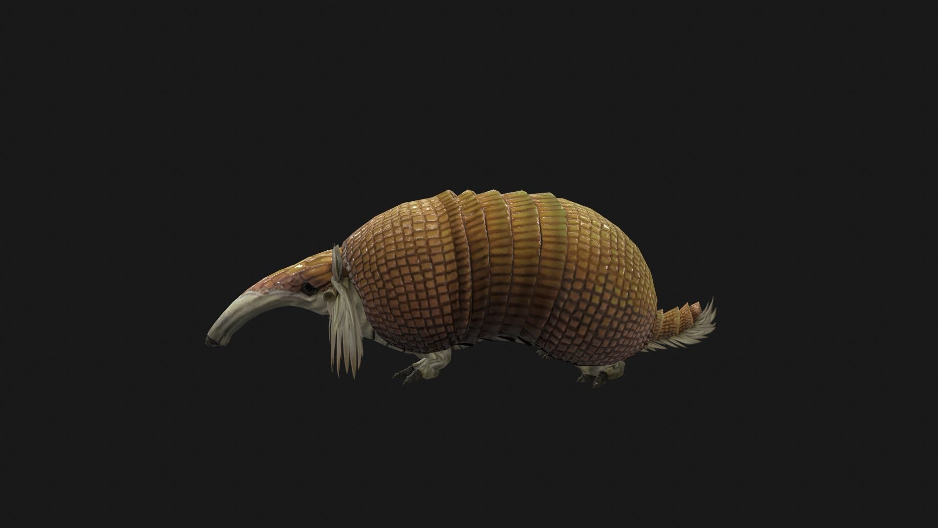 Armadillo Low-poly 3D model_5