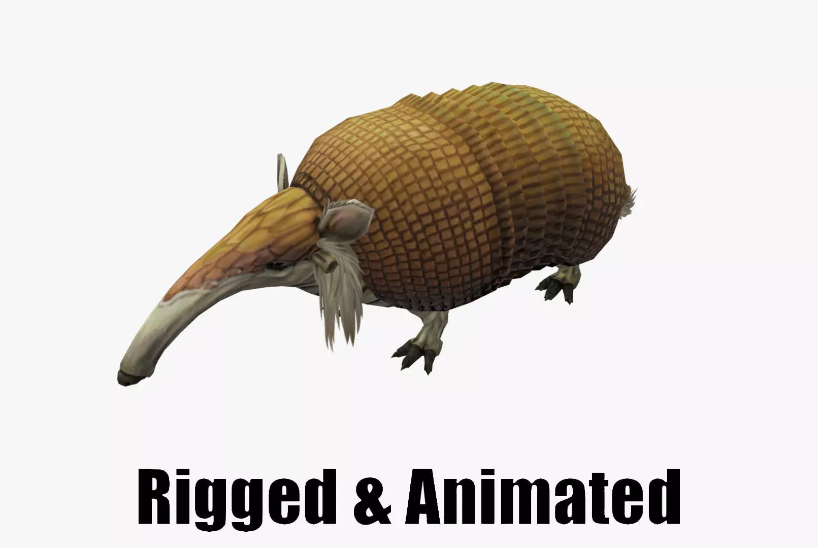 Armadillo Low-poly 3D model_0