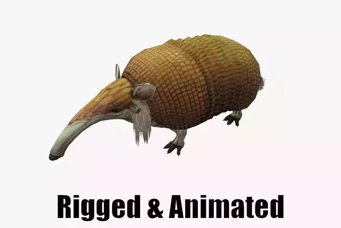 Armadillo
