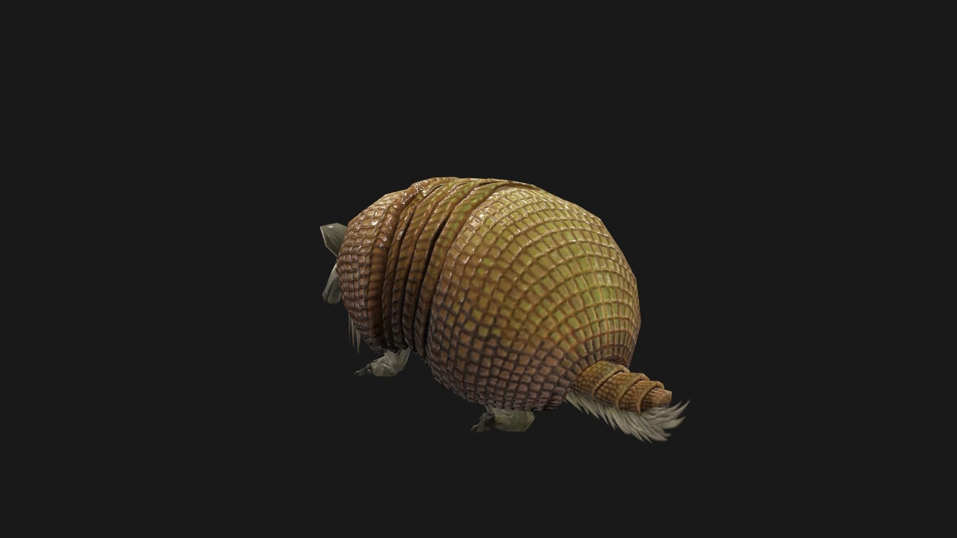 Armadillo Low-poly 3D model_6