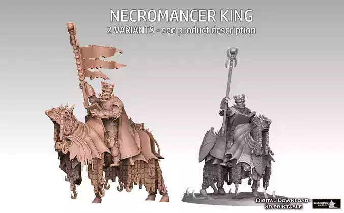 Necromancer King 3D print model