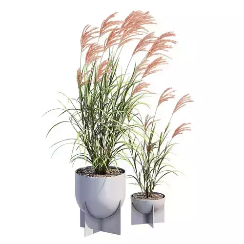 Stoneware 3D model