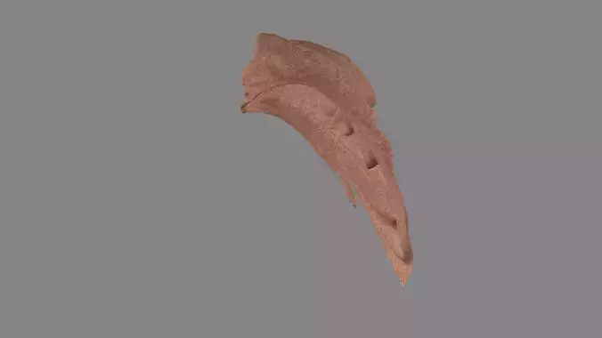 Dress collars scarves and necklaces decorated 3d models