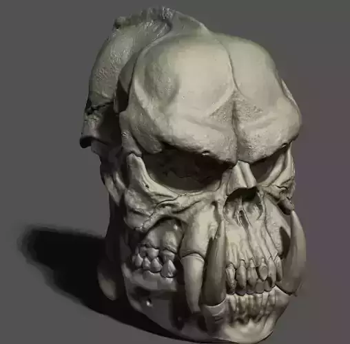Realistic Orc Skull quarter scale