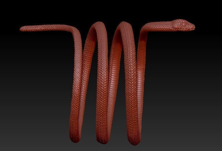 Snake wrap around ring 3D print model_7