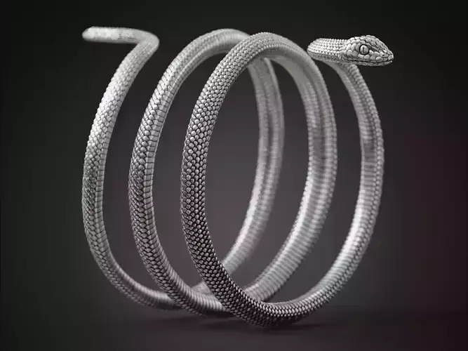 Snake wrap around ring