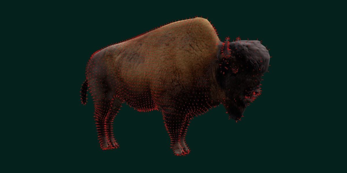 Wood Bison Mammal Low-poly 3D model_5