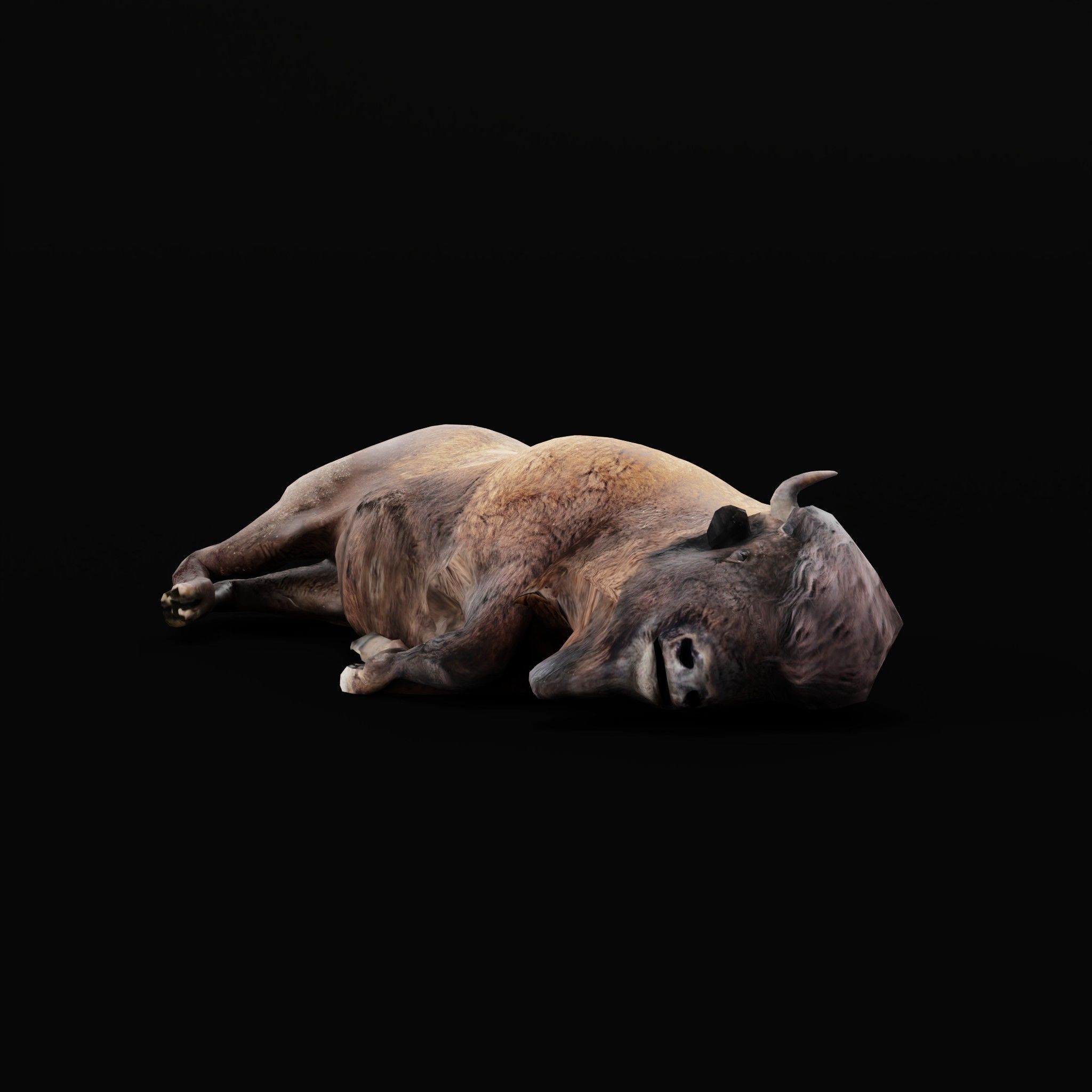 Wood Bison Mammal Low-poly 3D model_22