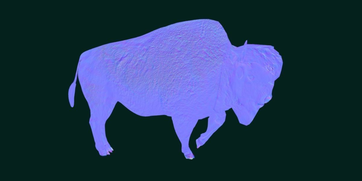 Wood Bison Mammal Low-poly 3D model_13