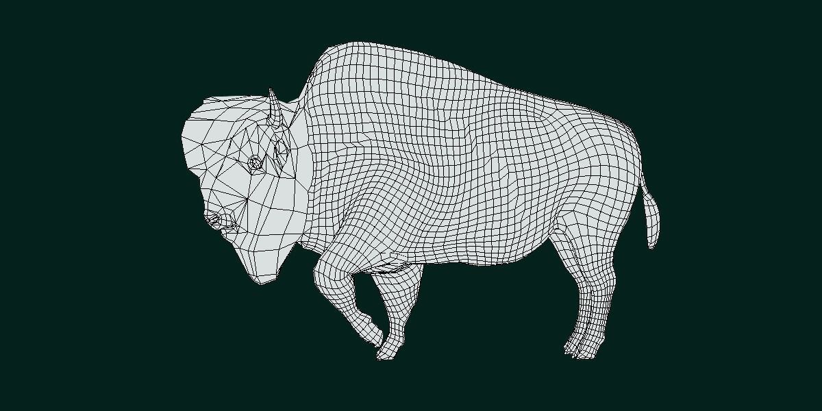 Wood Bison Mammal Low-poly 3D model_3