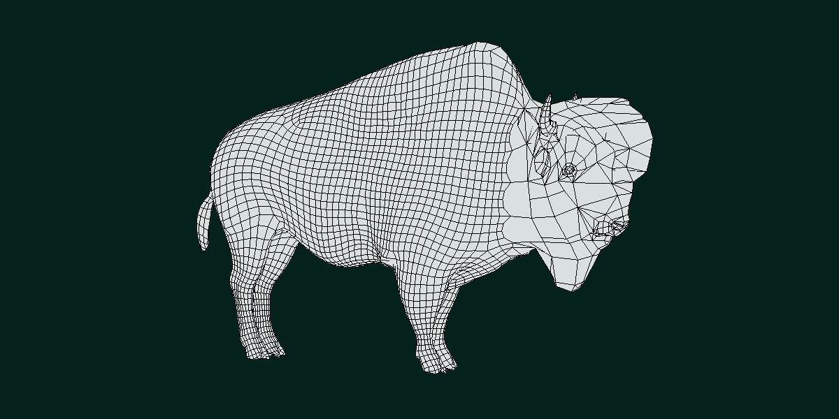Wood Bison Mammal Low-poly 3D model_4