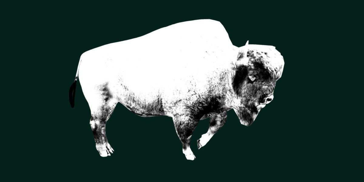 Wood Bison Mammal Low-poly 3D model_14