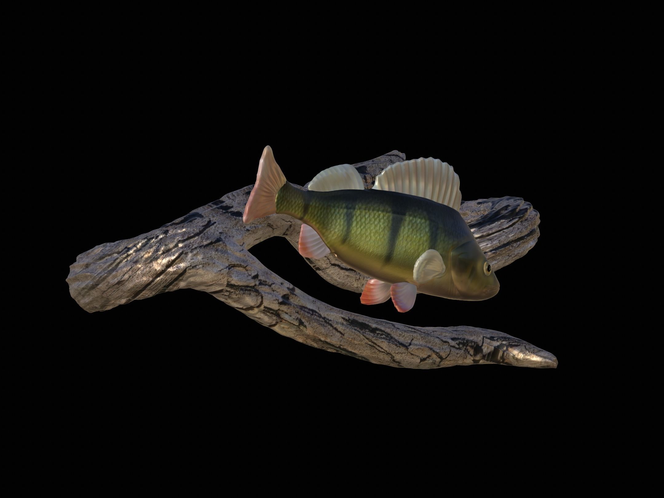 PERCH UNDERWATER STATUE ON THE WALL DETAILED TEXTURE 3D print model_9