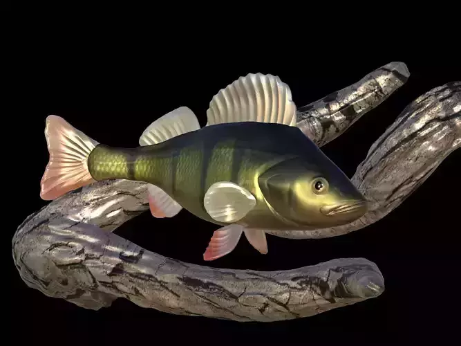 PERCH UNDERWATER STATUE ON THE WALL DETAILED TEXTURE 3D print model