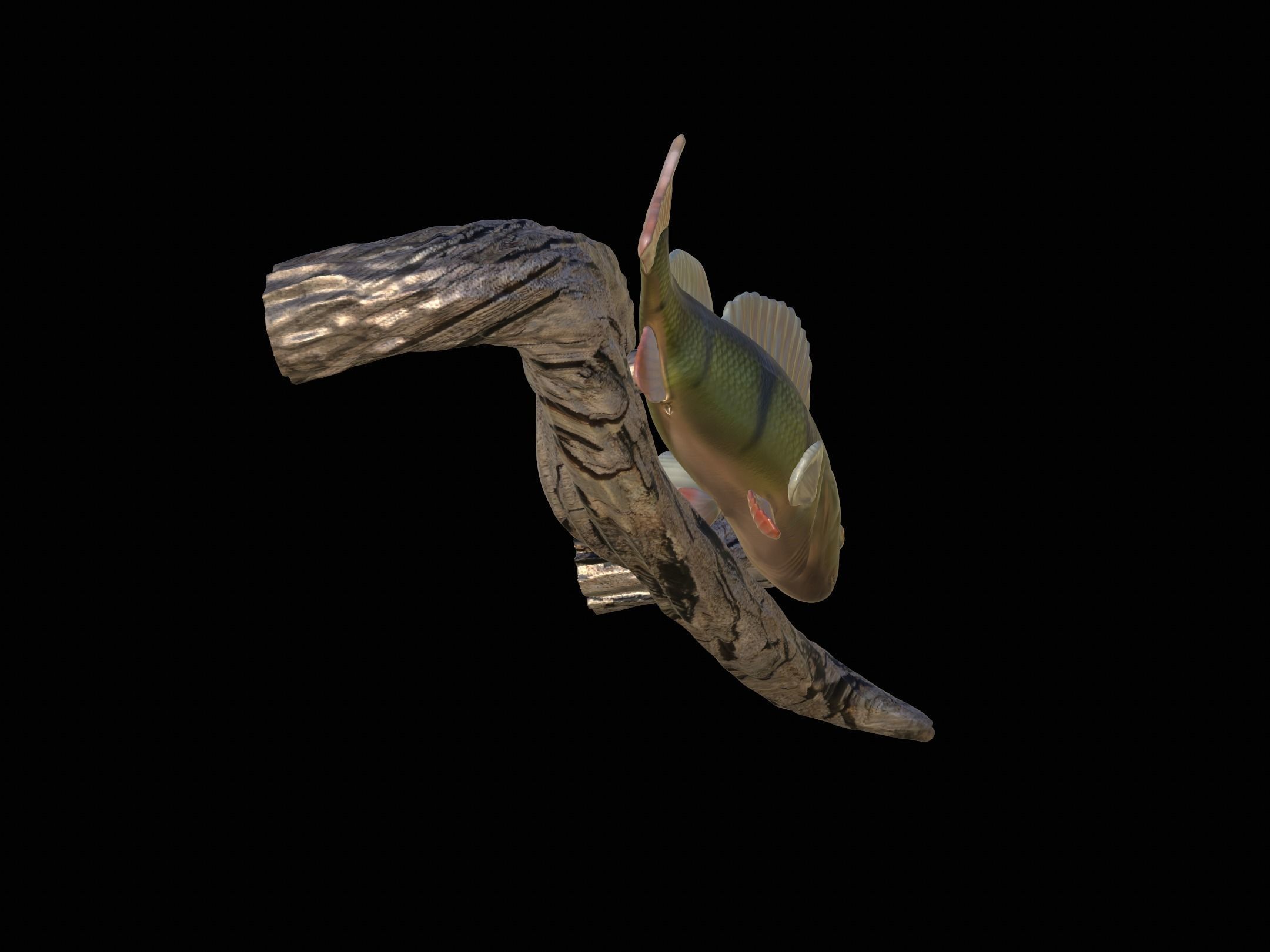 PERCH UNDERWATER STATUE ON THE WALL DETAILED TEXTURE 3D print model_7