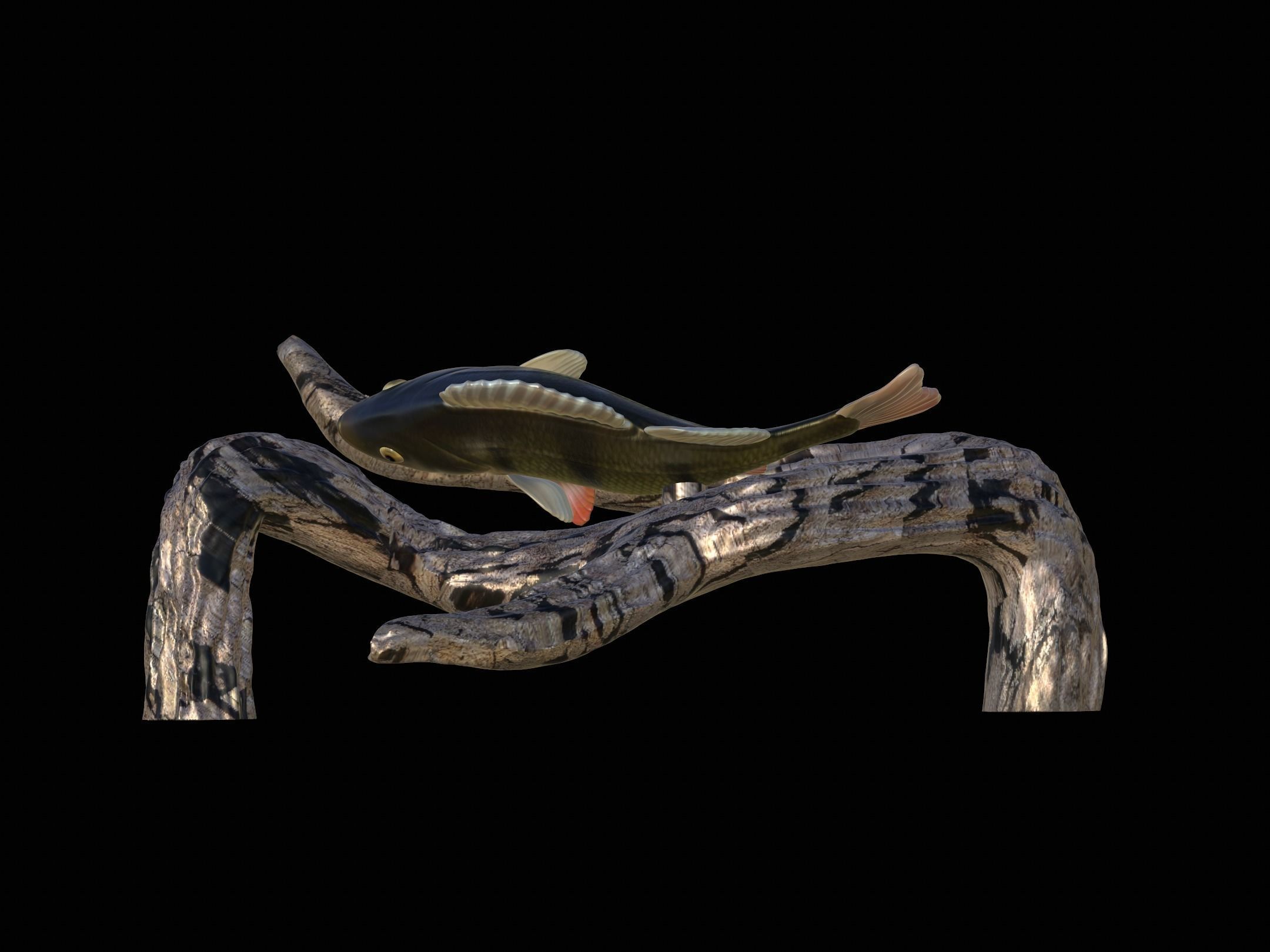 PERCH UNDERWATER STATUE ON THE WALL DETAILED TEXTURE 3D print model_4