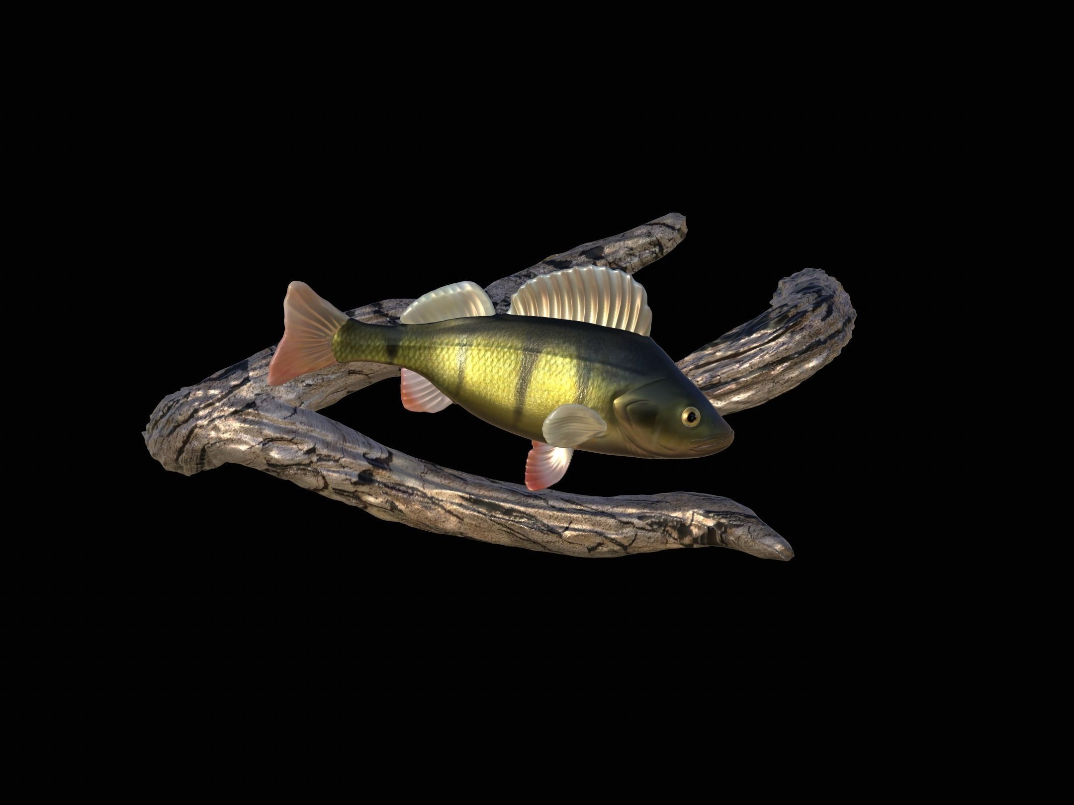 PERCH UNDERWATER STATUE ON THE WALL DETAILED TEXTURE 3D print model_8