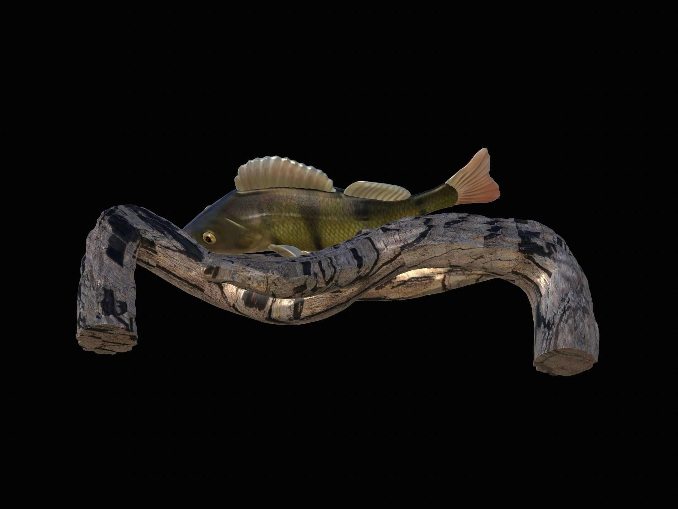 PERCH UNDERWATER STATUE ON THE WALL DETAILED TEXTURE 3D print model_5