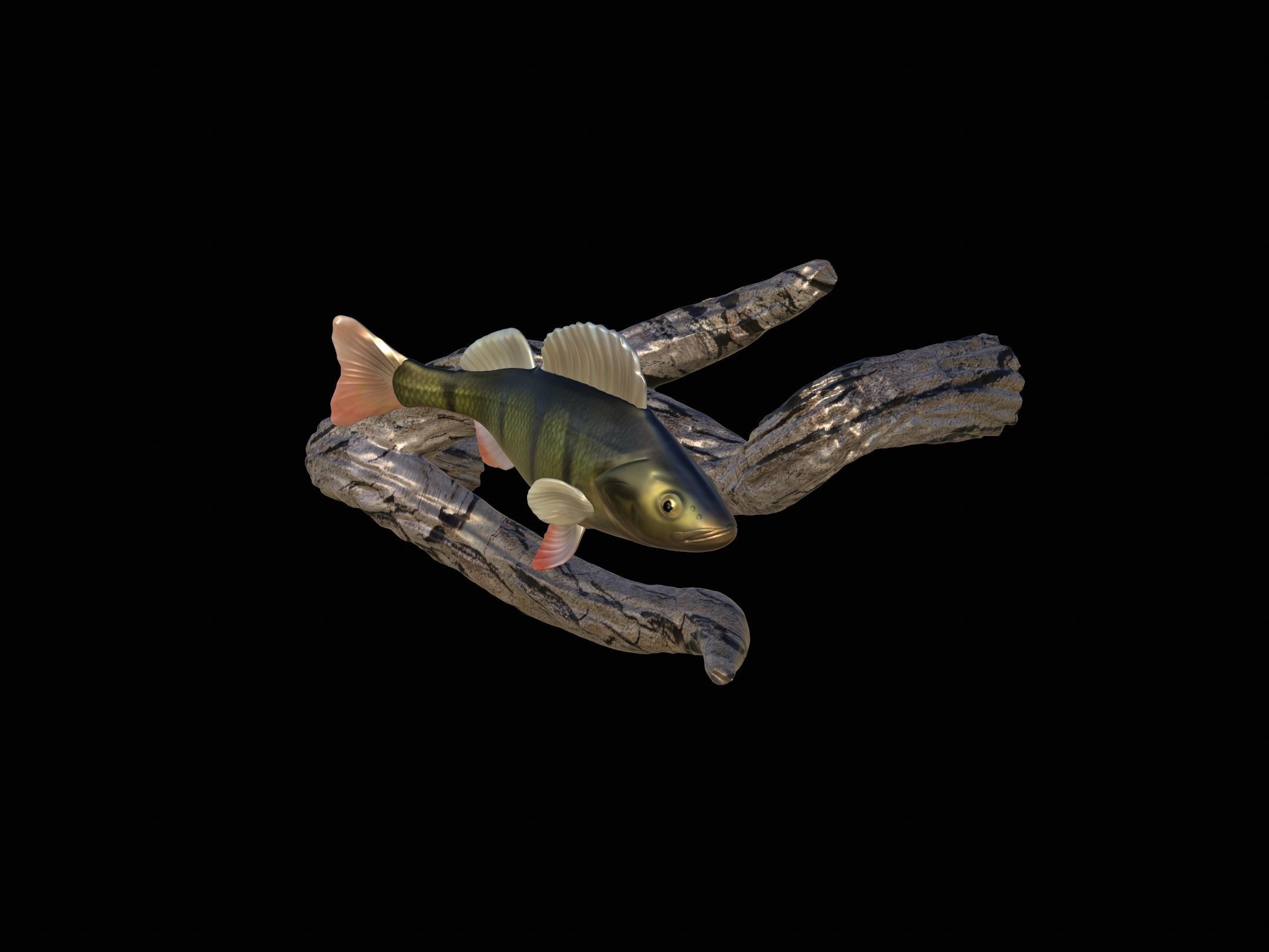 PERCH UNDERWATER STATUE ON THE WALL DETAILED TEXTURE 3D print model_6