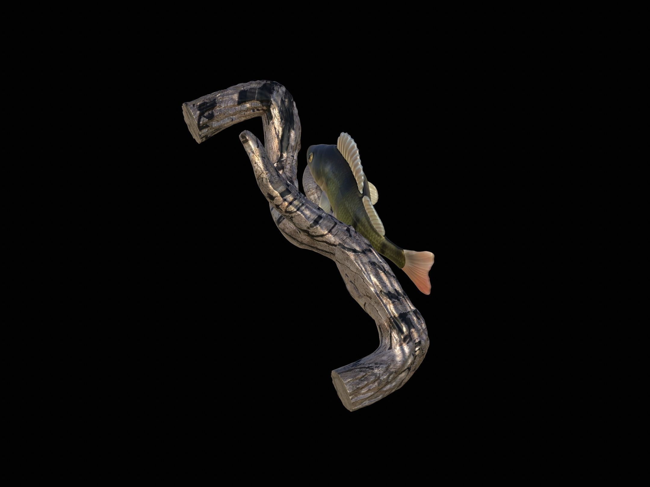 PERCH UNDERWATER STATUE ON THE WALL DETAILED TEXTURE 3D print model_11