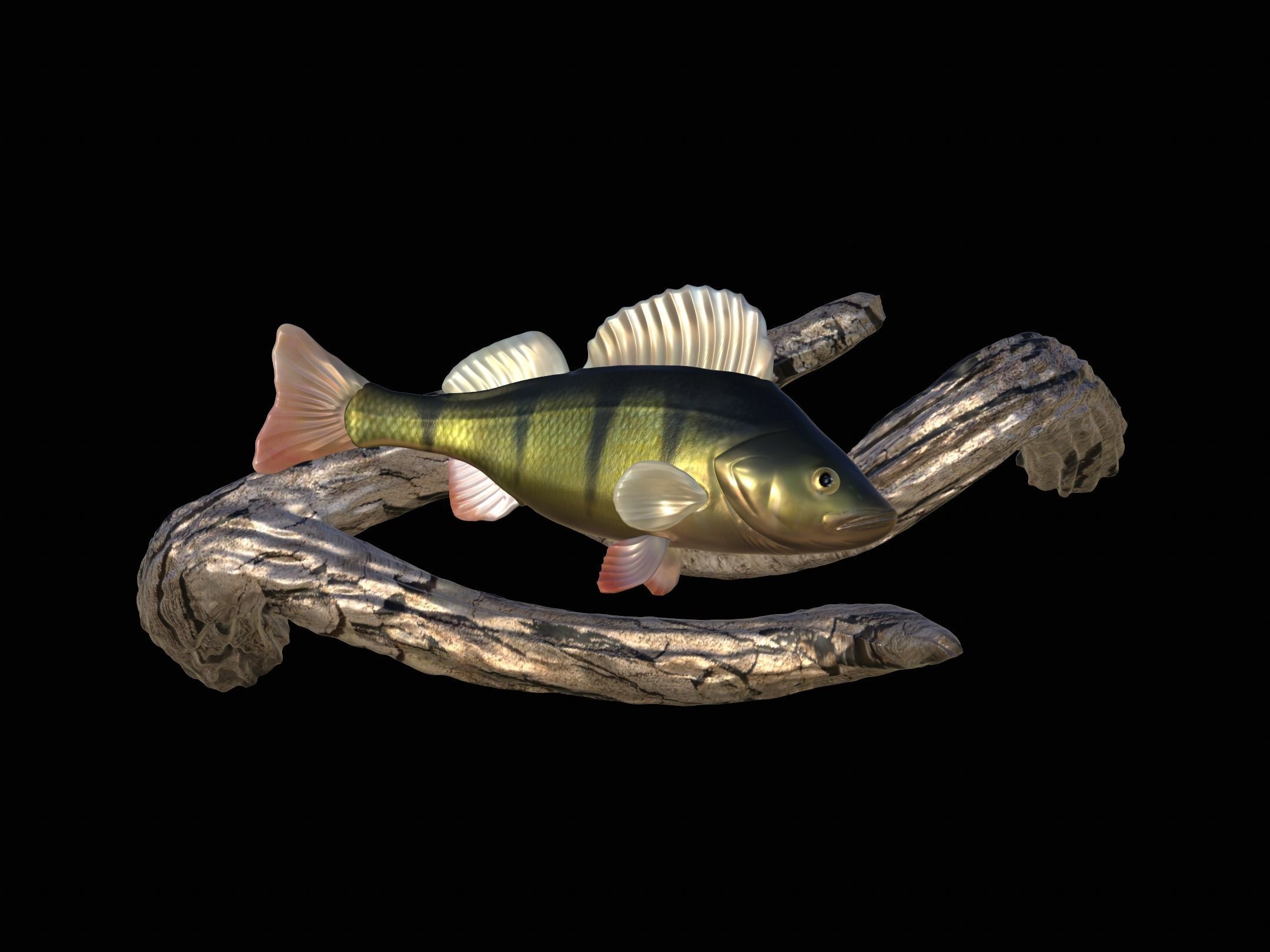 PERCH UNDERWATER STATUE ON THE WALL DETAILED TEXTURE 3D print model_1