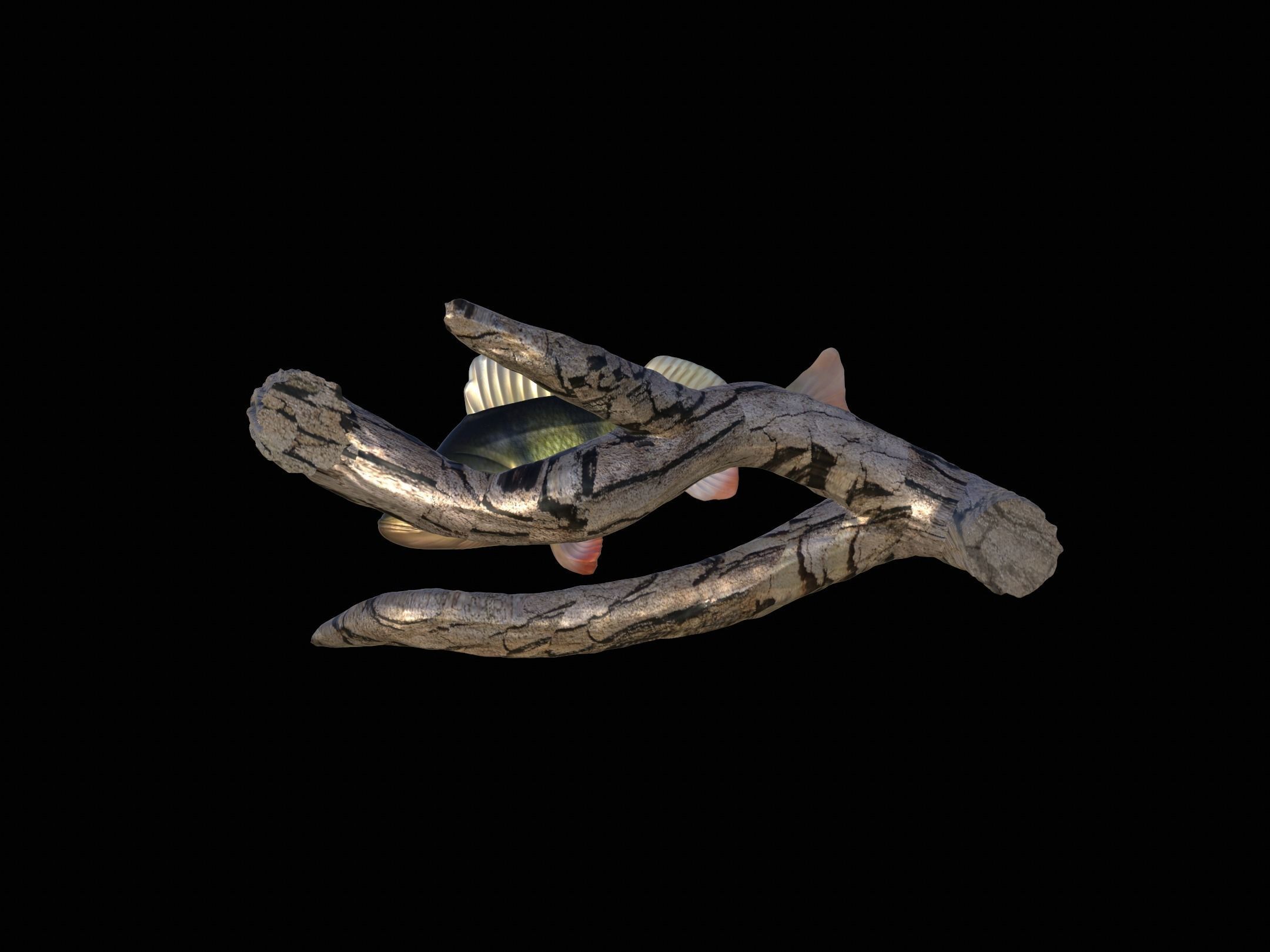 PERCH UNDERWATER STATUE ON THE WALL DETAILED TEXTURE 3D print model_3