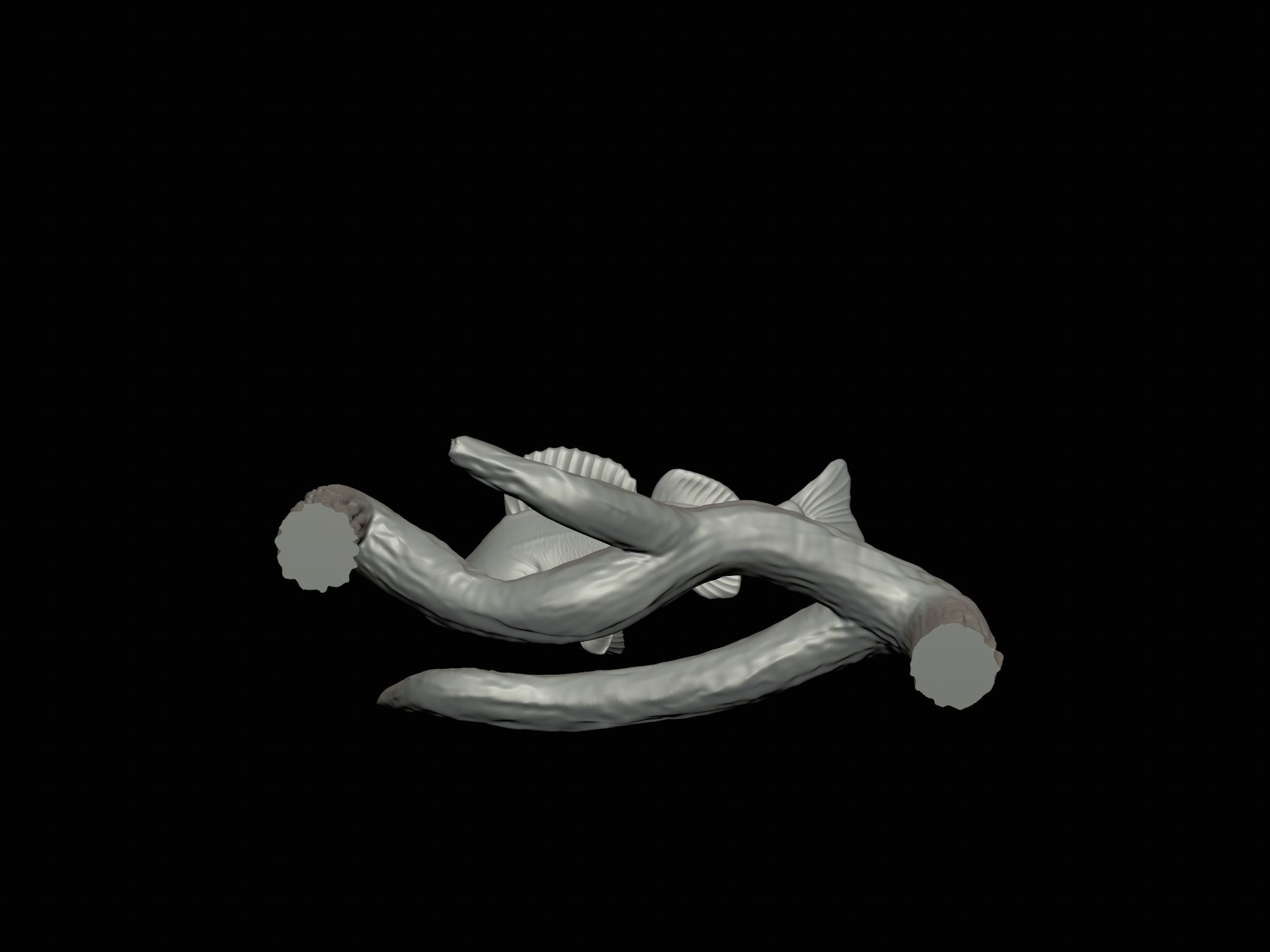 PERCH UNDERWATER STATUE ON THE WALL DETAILED TEXTURE 3D print model_19