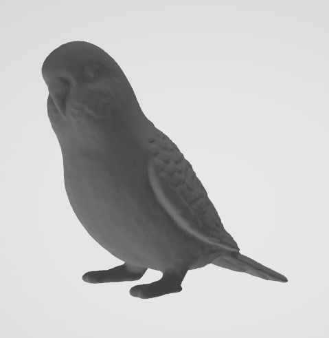 Parakeet 3D Model 3D print model_1