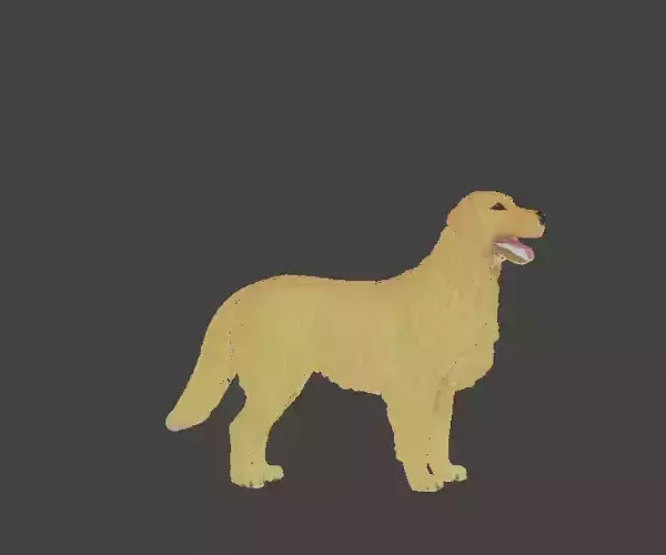 Golden Retriever Dog 3D Model