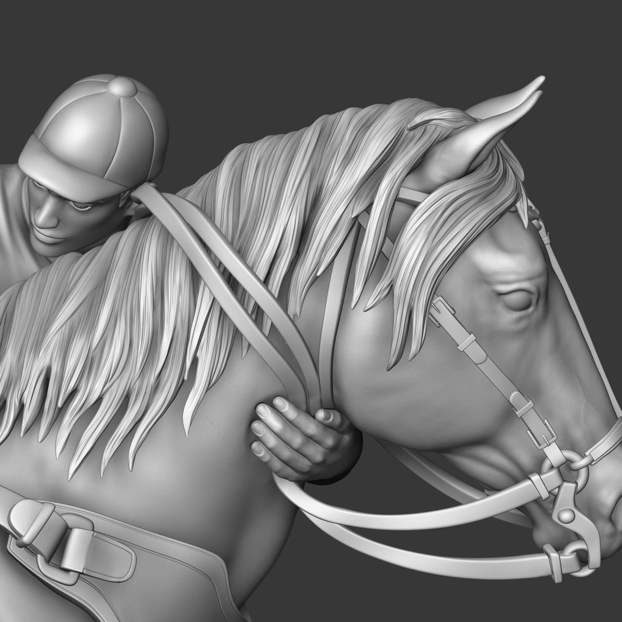 Vaquejada 3D print model_19