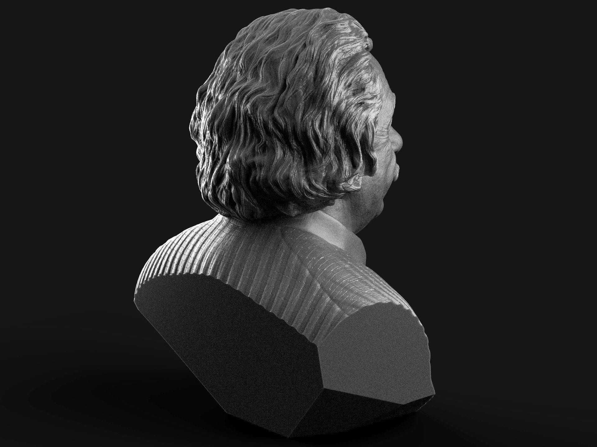 Albert Einstein 3D print model_5