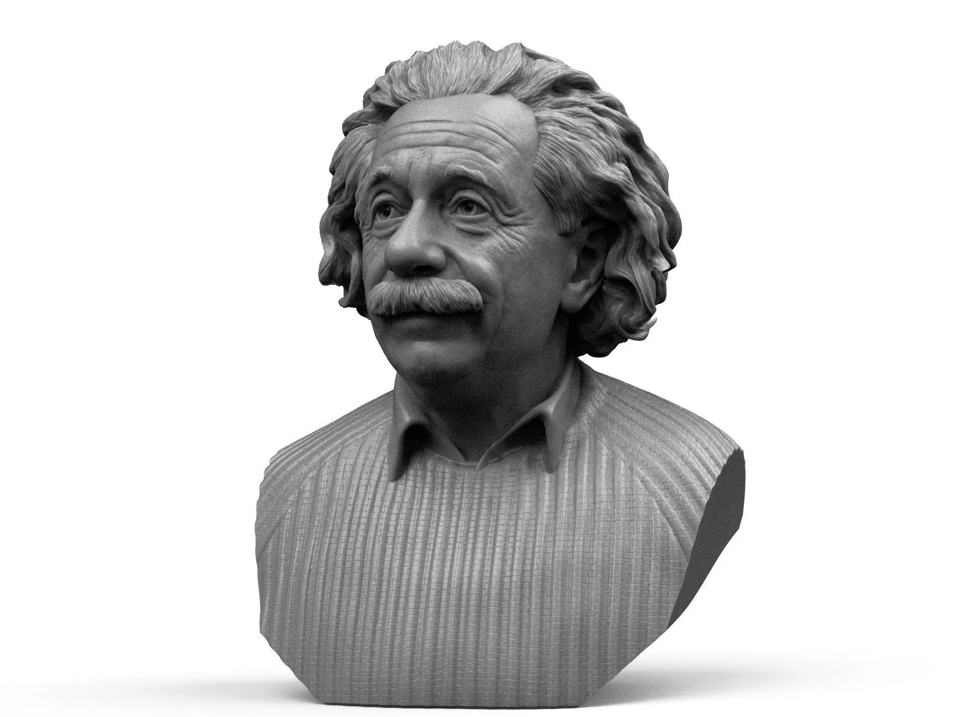 Albert Einstein 3D print model_0