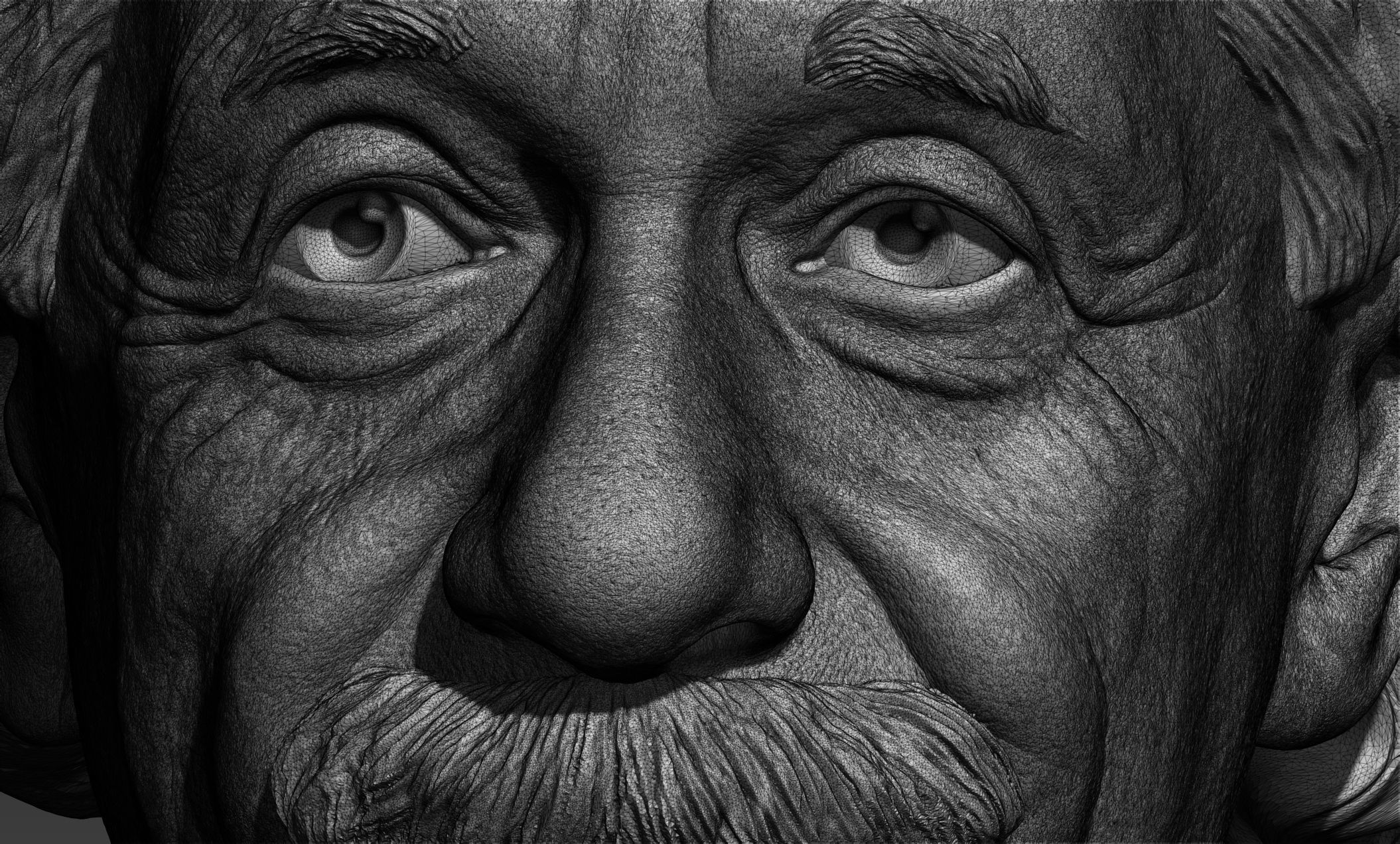 Albert Einstein 3D print model_7