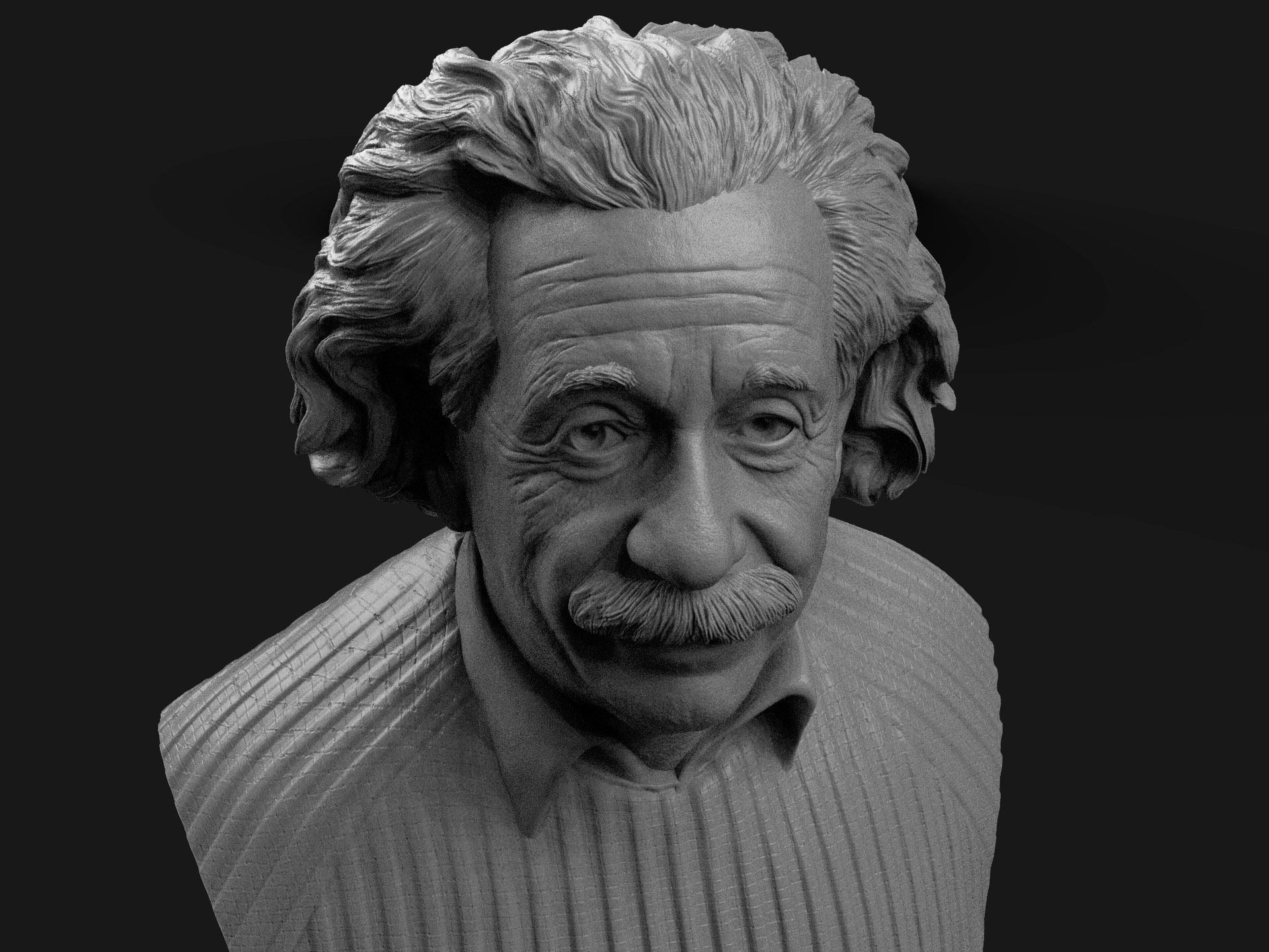 Albert Einstein 3D print model_6