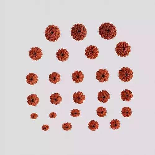 Rudraksha Beads Low-poly 3D model