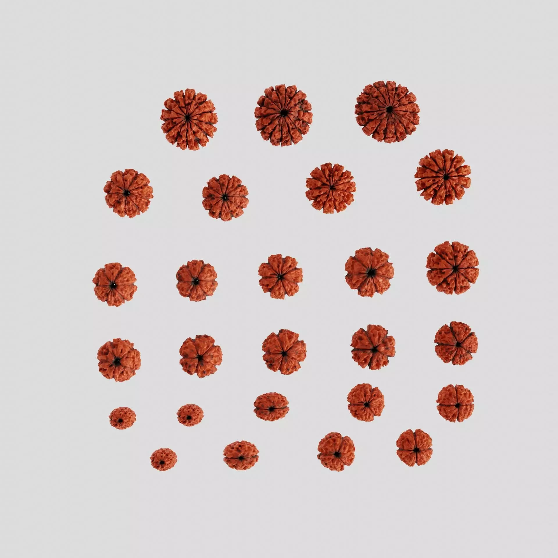 Rudraksha Beads Low-poly 3D model_0