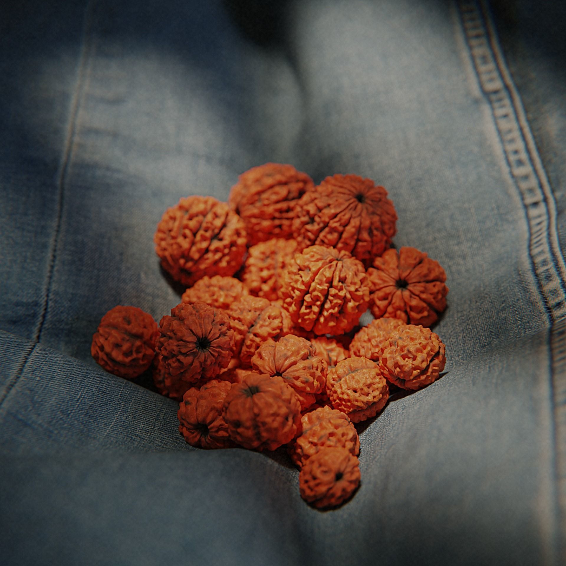 Rudraksha Beads Low-poly 3D model_1