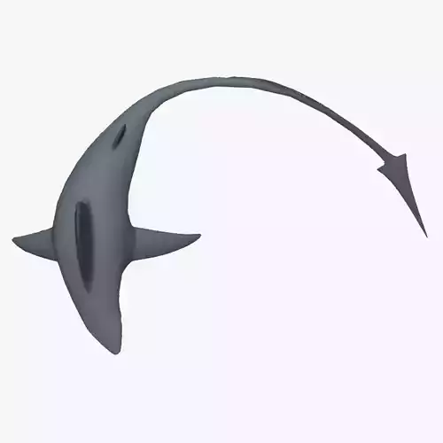 SHARK WITH LONG TAIL Low-poly 3D model