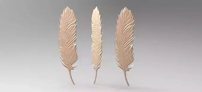 Holy angel feather