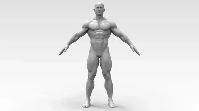 Bodybuilder 3D print model