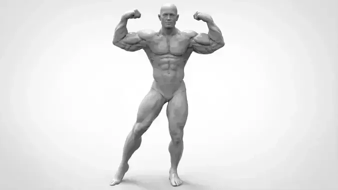 Bodybuilder Pose - Anatomy 3D print model