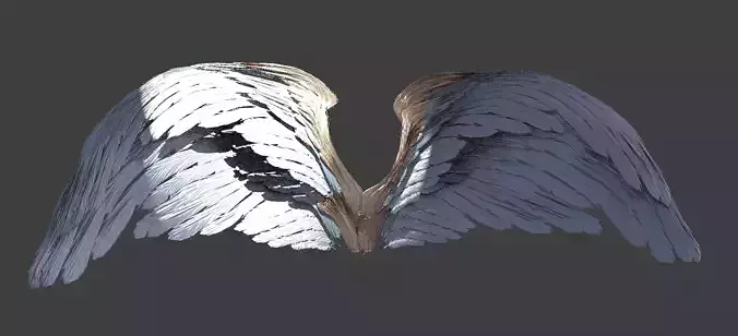 Angel High enforcer wings 