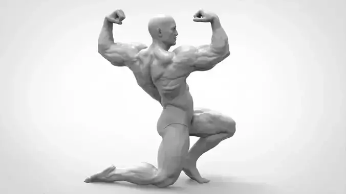 Bodybuilder Pose - Anatomy 3D print model