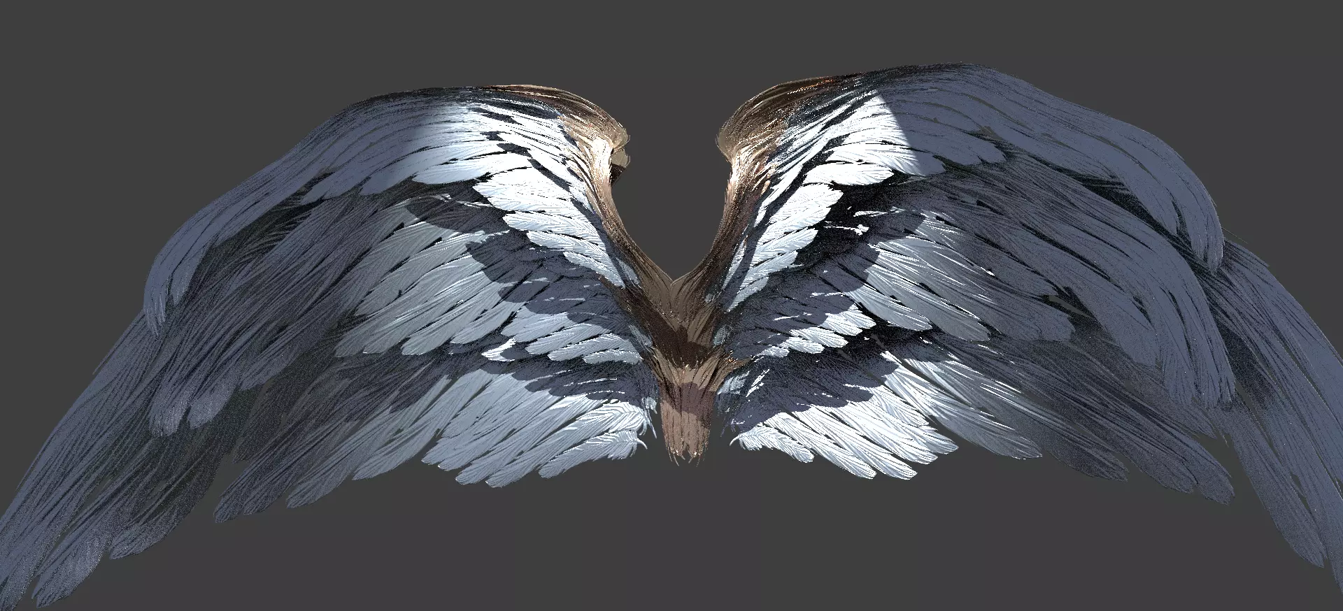 divino Angelus wings 3D model_0