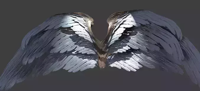 divino Angelus wings